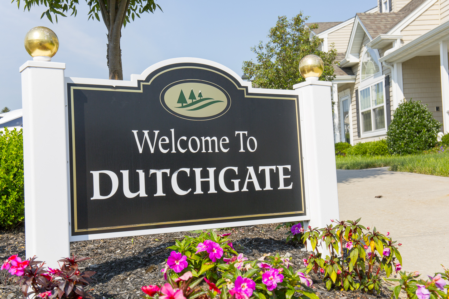 Welcome to Dutchgate